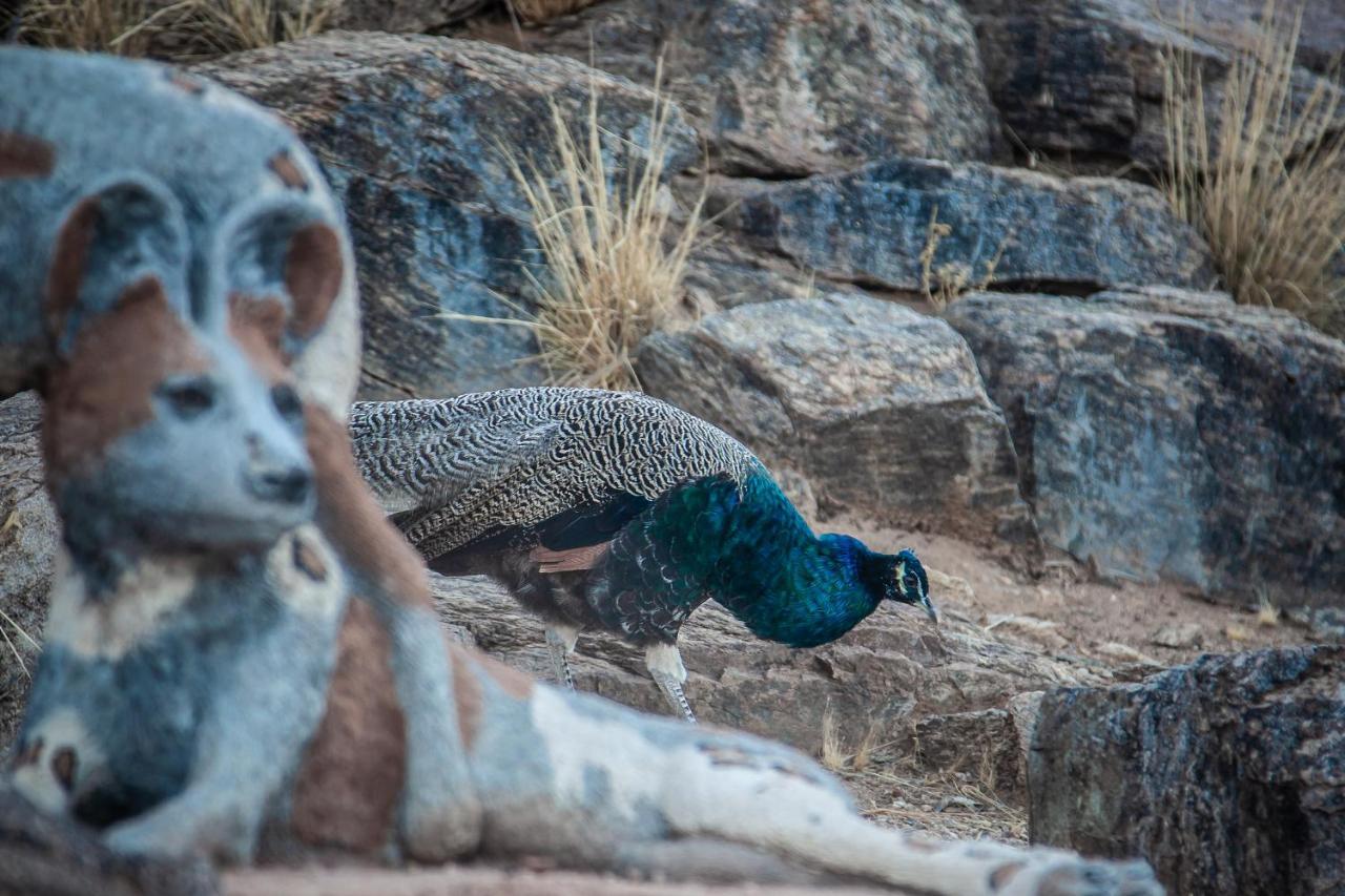 Blue Diamond Lodge & Spa Springbok Luaran gambar